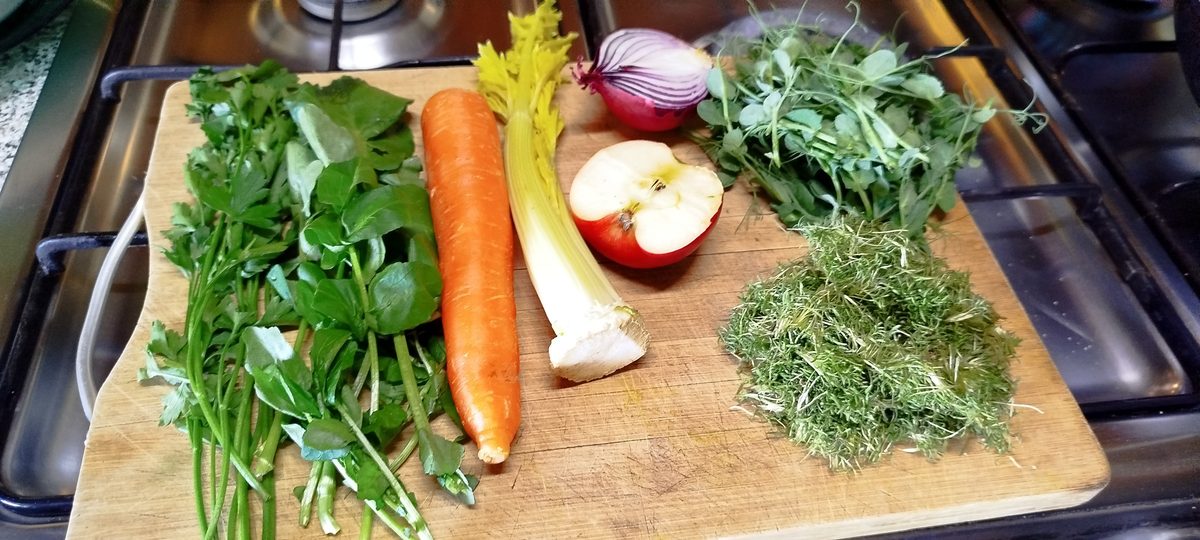 Frische Zutaten auf einem Holzbrett: Petersilie, Karotte, Sellerie, halber Apfel, halbe rote Zwiebel, Erbsen-Microgreens, Chia-Microgreens.